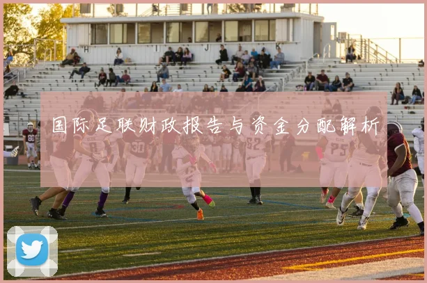 国际足联财政报告与资金分配解析