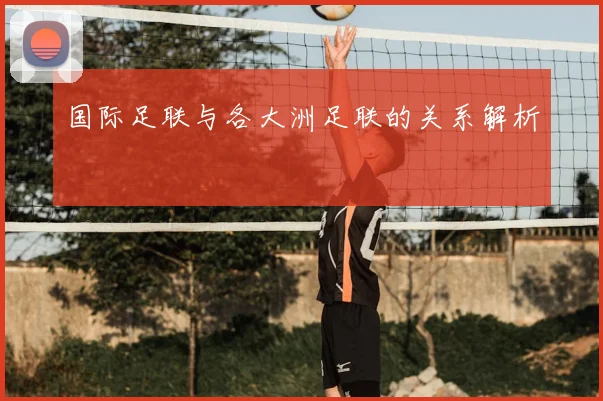国际足联与各大洲足联的关系解析